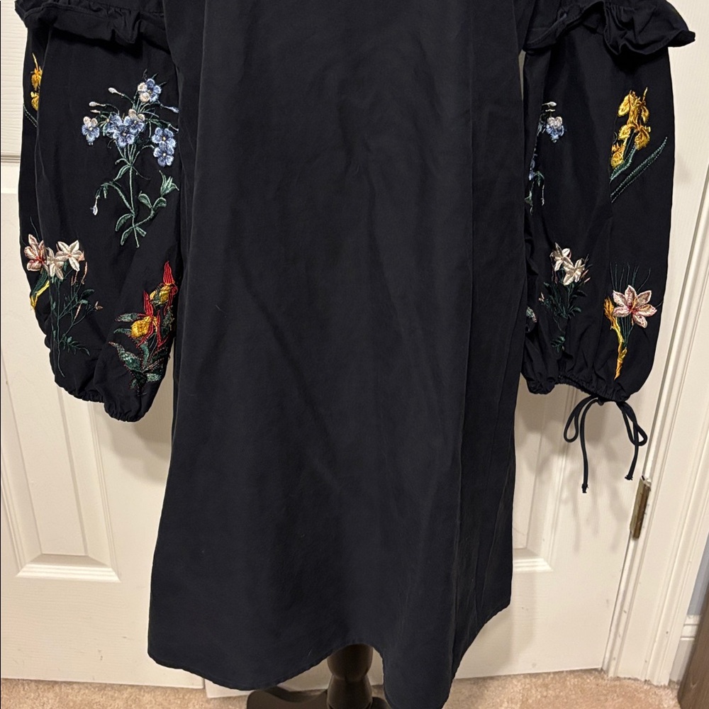 Zara Trafulac Embroidered Shift Dress - Picture 5 of 12